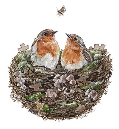 Puzzled Robins