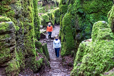 Forest Bathing at Puzzlewood