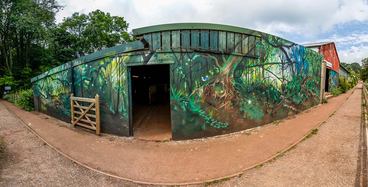 Our Planet Puzzlewood Murals