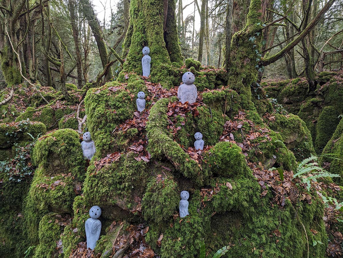 Woodland Sprites come to Puzzlewood