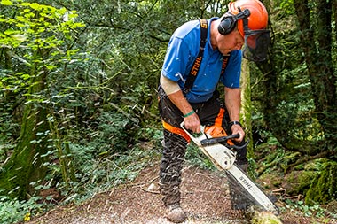 Puzzlewood Tree Surgeon